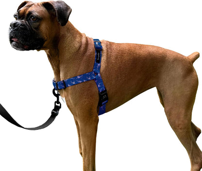 ShawnCo Dream Walk No-Pull Dog Harness- Adjustable, Comfortable, Easy to Use Pet Halter to Help Stop Pulling for Small, Medium and Large Dogs (Oceanic Blue, L) - Image 13