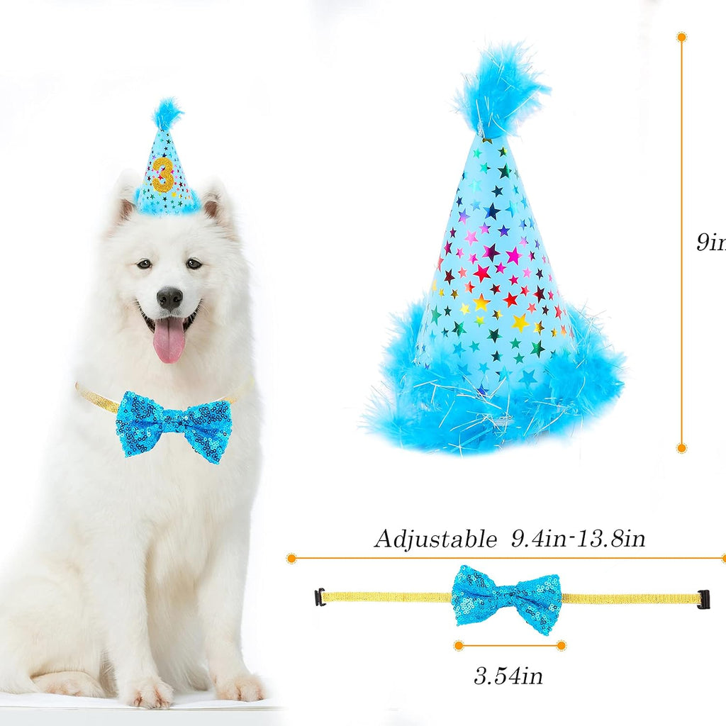 Complete Aroic pet celebration kit laid out flat on a table.