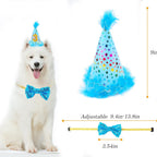 Complete Aroic pet celebration kit laid out flat on a table.