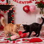 Close up view of the embroidered heart plush cat toy from the Jenaai holiday collection