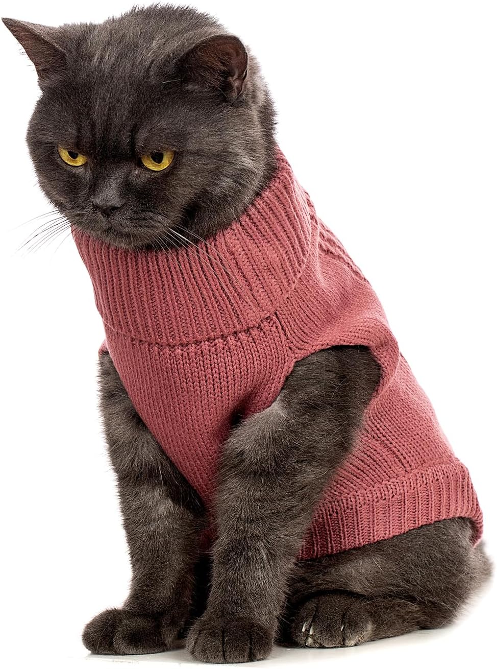 Close-up detail of the durable ribbed turtleneck collar on the red feline winter vest