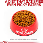 Royal Canin Gastrointestinal 22 Pound dry dog food packaging showing nutritional labels