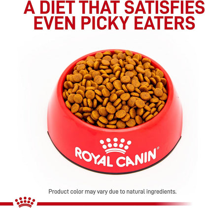 Royal Canin Gastrointestinal 22 Pound dry dog food packaging showing nutritional labels