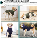 AOFITEE reflective dog jacket for safe nighttime walks