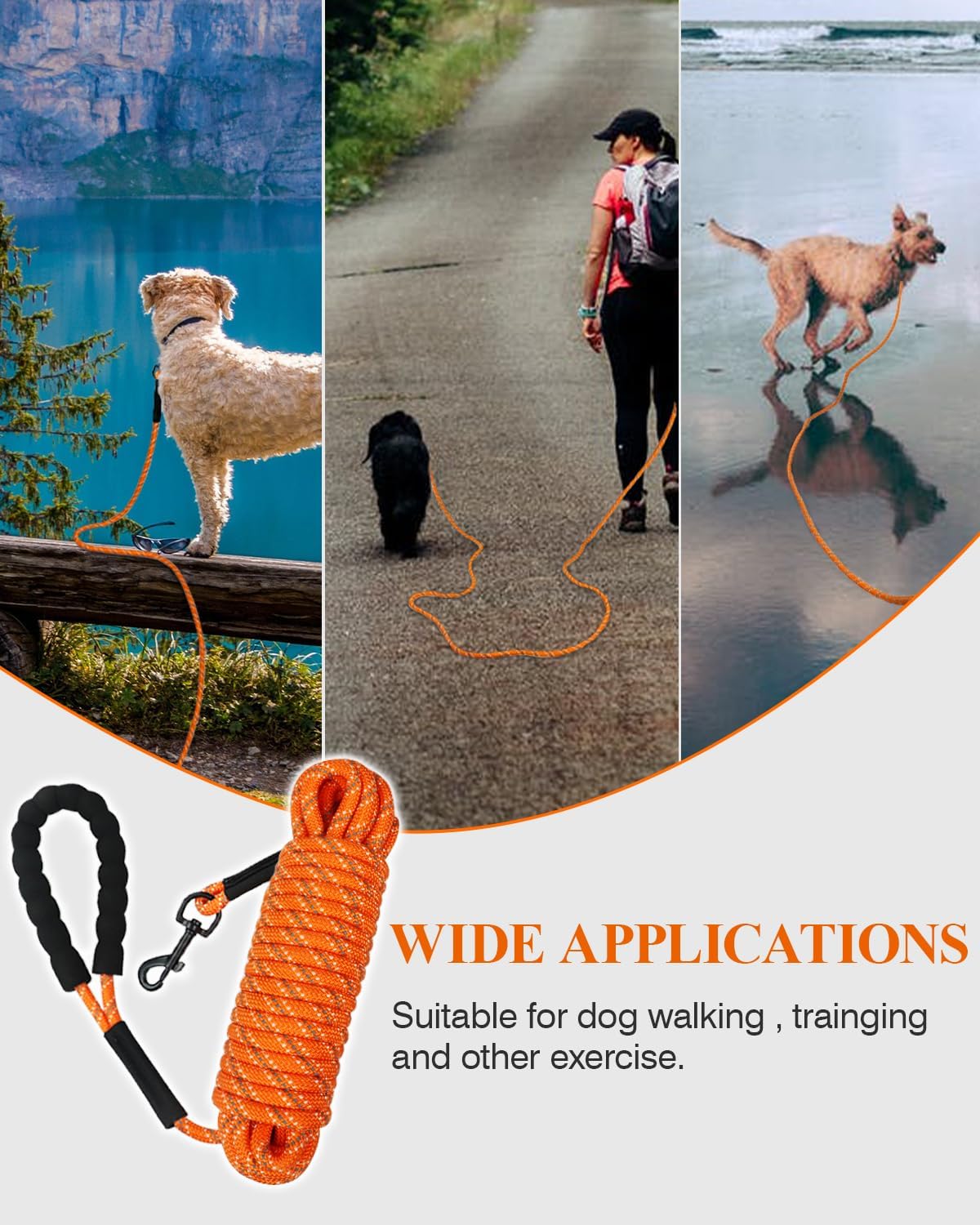 Taglory long dog leash attached to a harness for outdoor camping.