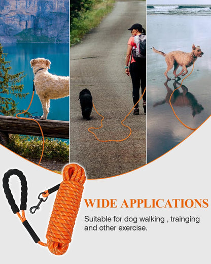 Taglory long dog leash attached to a harness for outdoor camping.