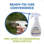 Application of Riddy flea spray on pet bedding