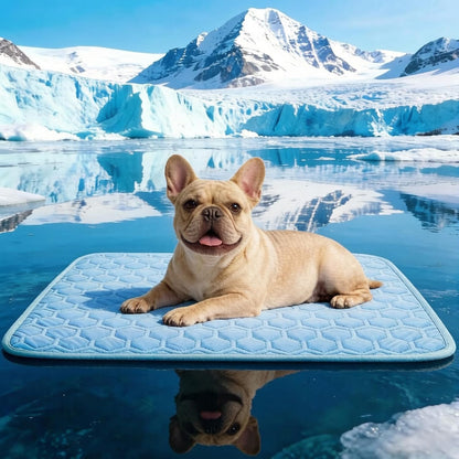 Sisrol cooling mat for dogs and cats front view