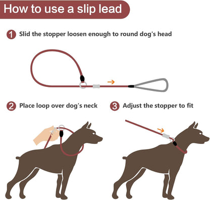 Two in one dog collar and leash combo mechanism demonstration.