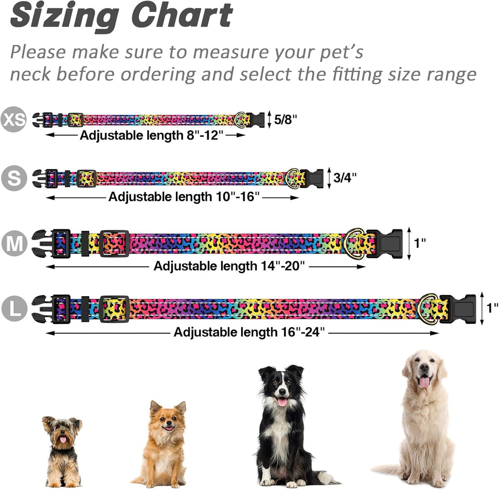 TMOODEL medium dog collar worn by a dog