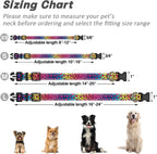 TMOODEL medium dog collar worn by a dog
