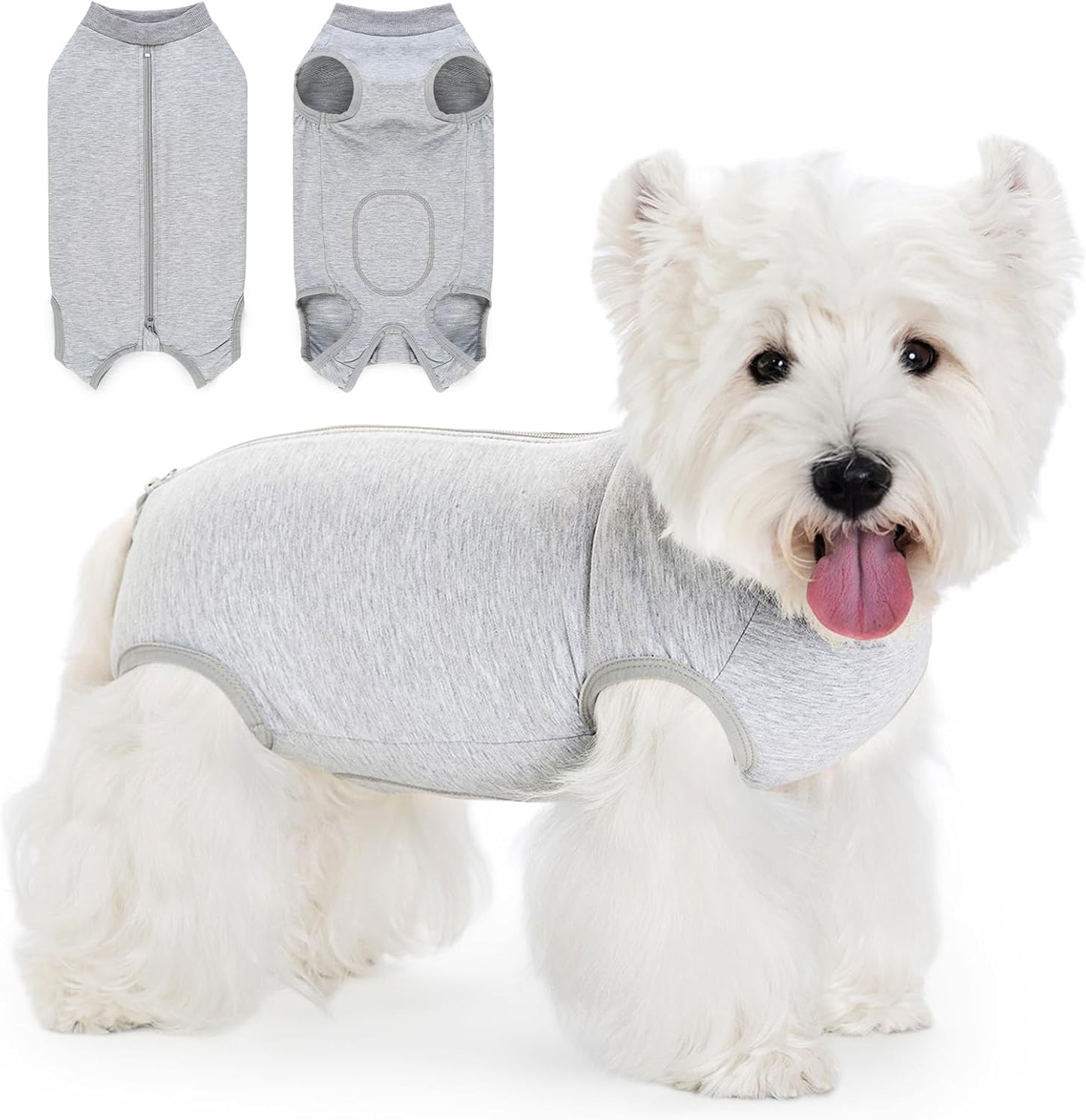 Small dog wearing pink Coppthinktu surgical onesie
