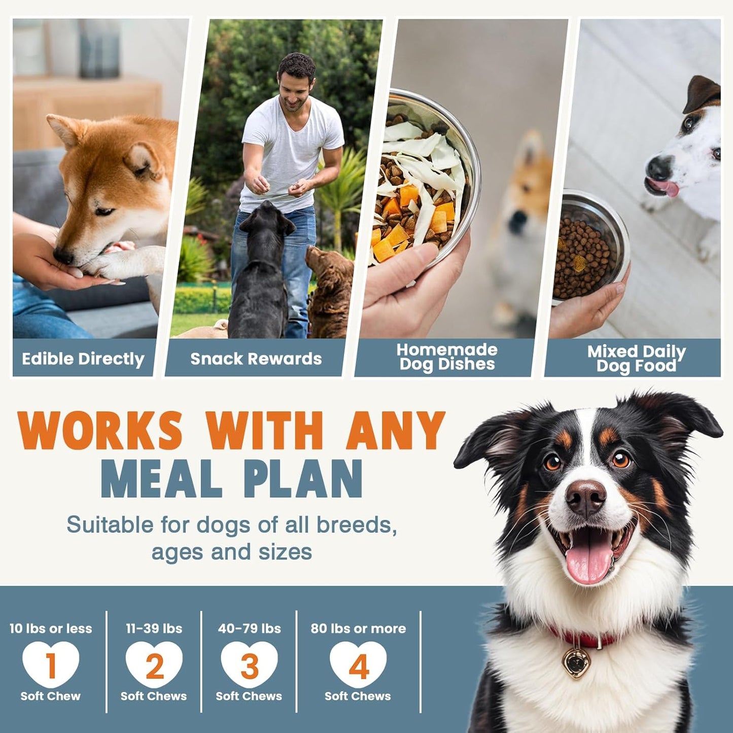 Vet endorsed daily health chews for senior dog mobility support