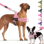 Lukovee No Pull Dog Harness and Leash Set - Adjustable Soft Padded Vest with Front Clip for Easy Control, Reflective Durable Harness for Safe Daily Training Walking for Medium Large Dogs (L, Green) - Image 13