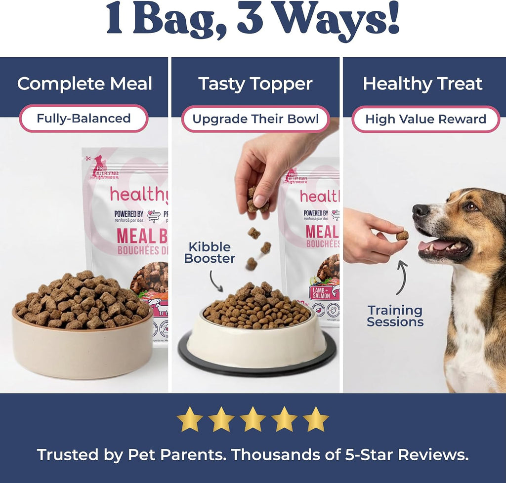 Healthybud digestive health dog food with prebiotics and postbiotics