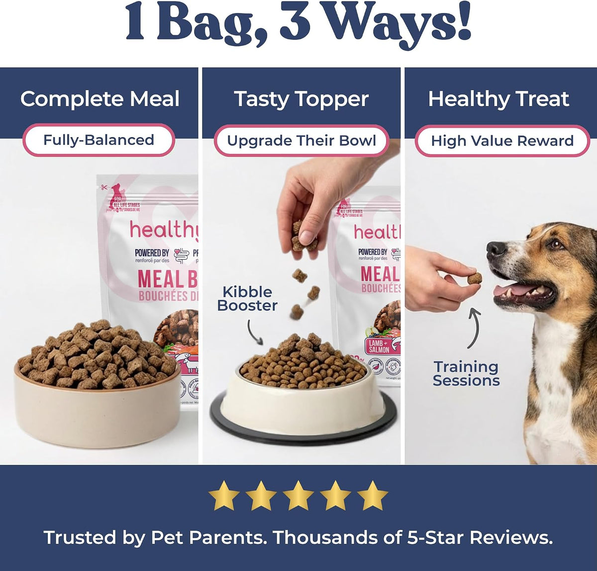 Healthybud digestive health dog food with prebiotics and postbiotics