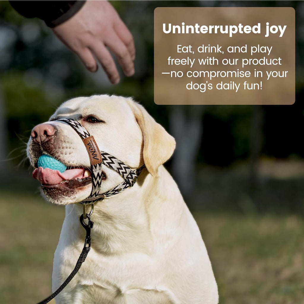 ANDA no pull muzzle leash strap showing stylish leather details and durable woven texture.