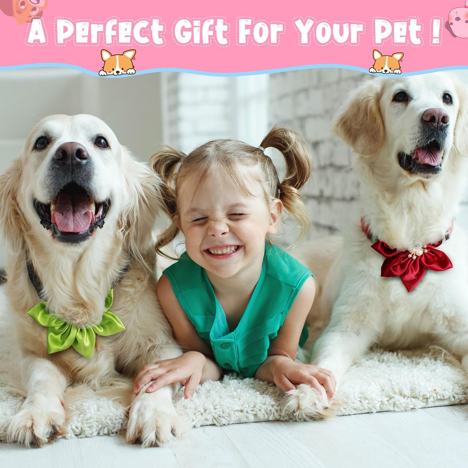 Reginary premium pet styling accessories featuring lightweight colorful acetate fabric design