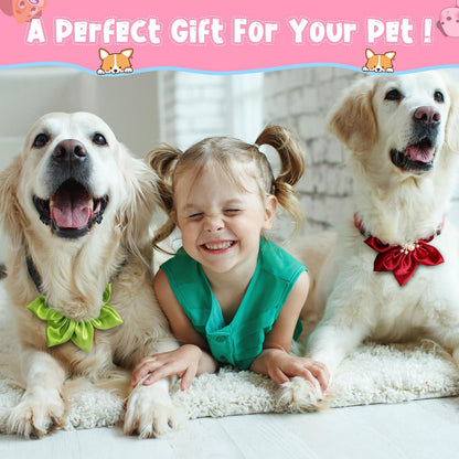 Reginary premium pet styling accessories featuring lightweight colorful acetate fabric design