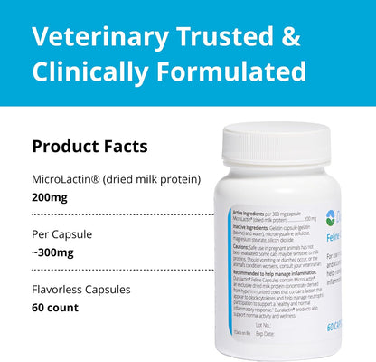Close up of Duralactin Feline joint supplement bottle