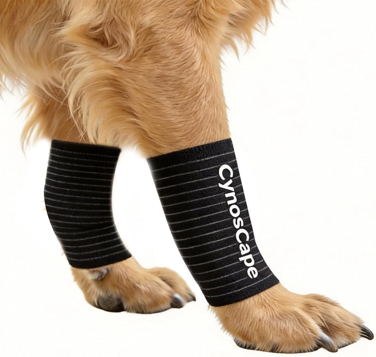 Cynoscape dog leg brace black front view for injury recovery
