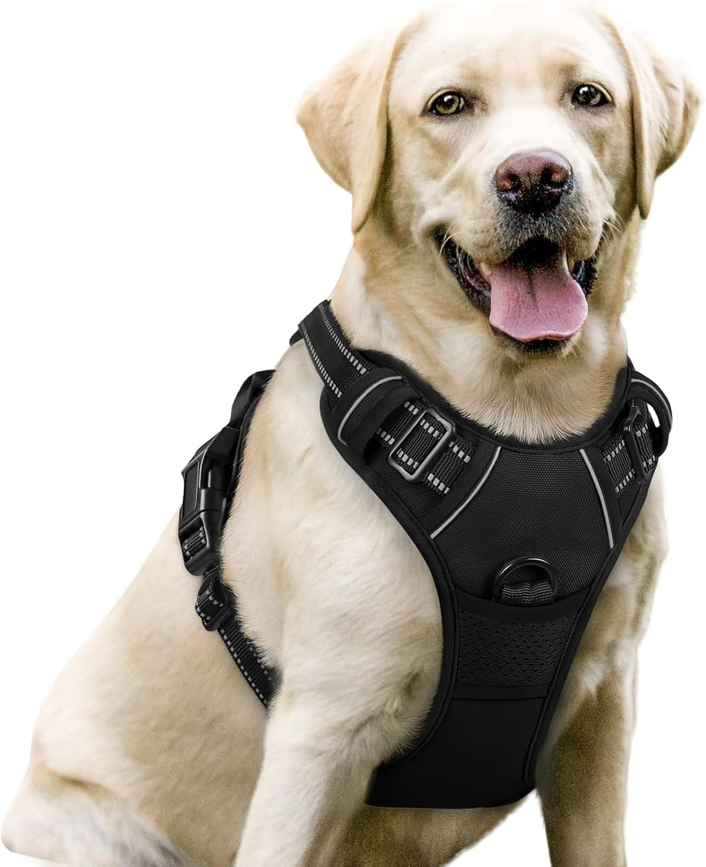 Rabbitgoo dog harness black front view for large dogs