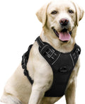 Rabbitgoo dog harness black front view for large dogs