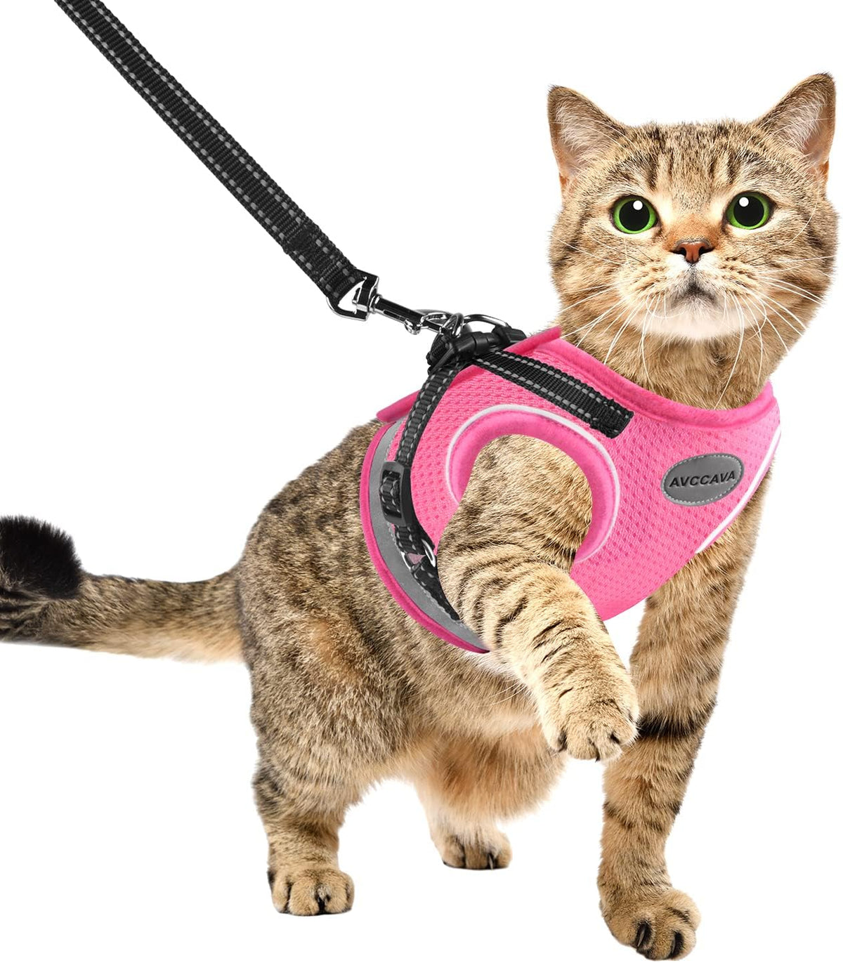 AVCCAVA extra small cat harness demonstrating the magic tape closure