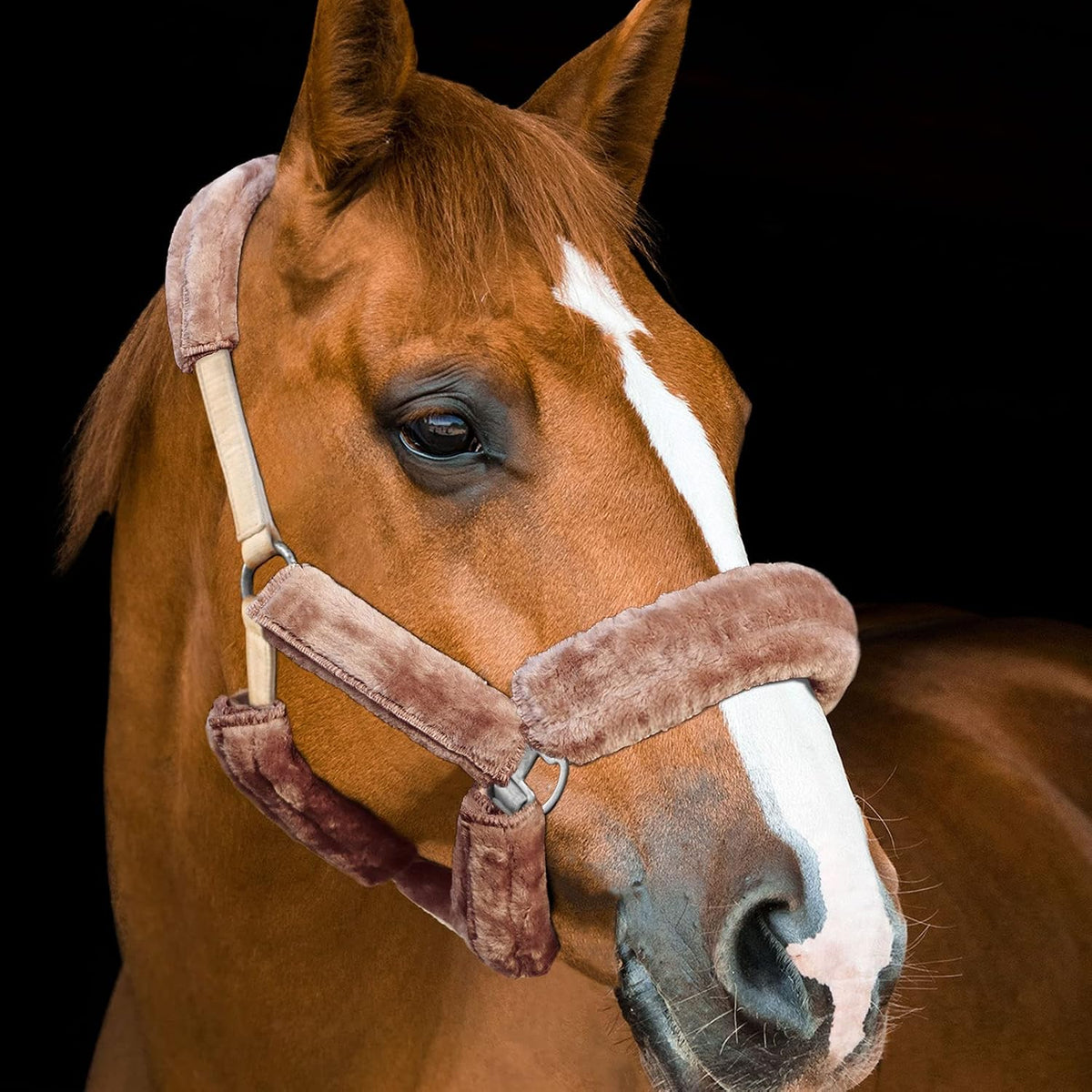 Harrison Howard luxury fleece padding avoiding pressure marks on horses.