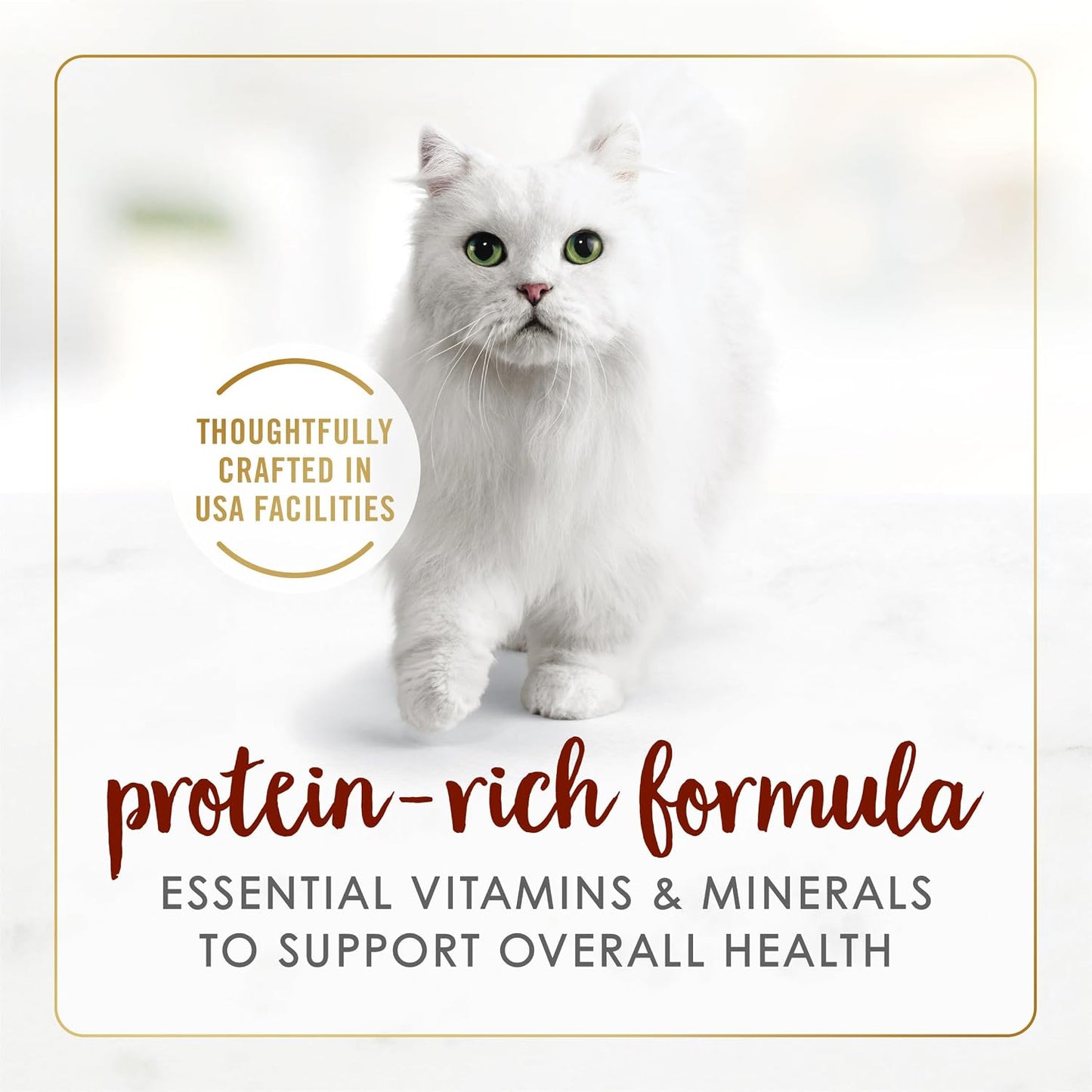 Purina Fancy Feast grain free wet cat food pate texture