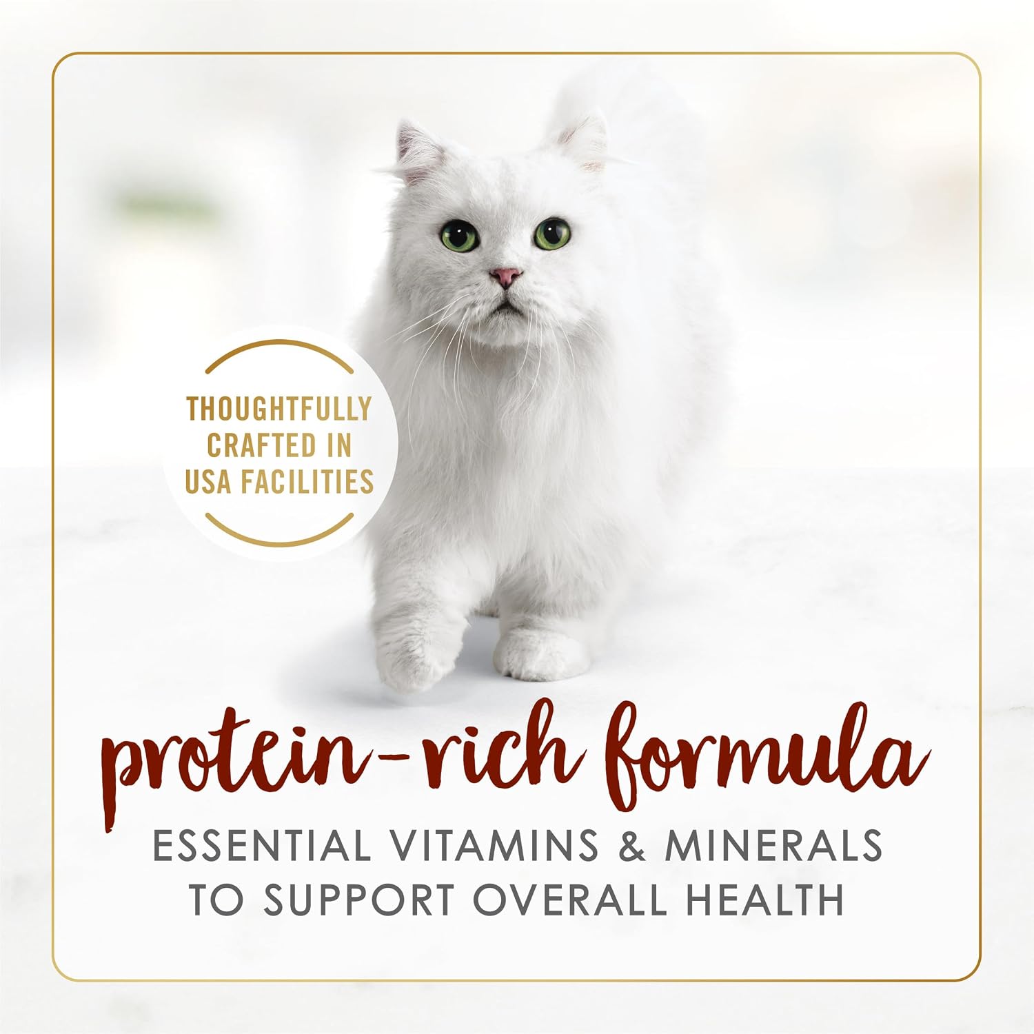 Purina Fancy Feast grain free wet cat food pate texture