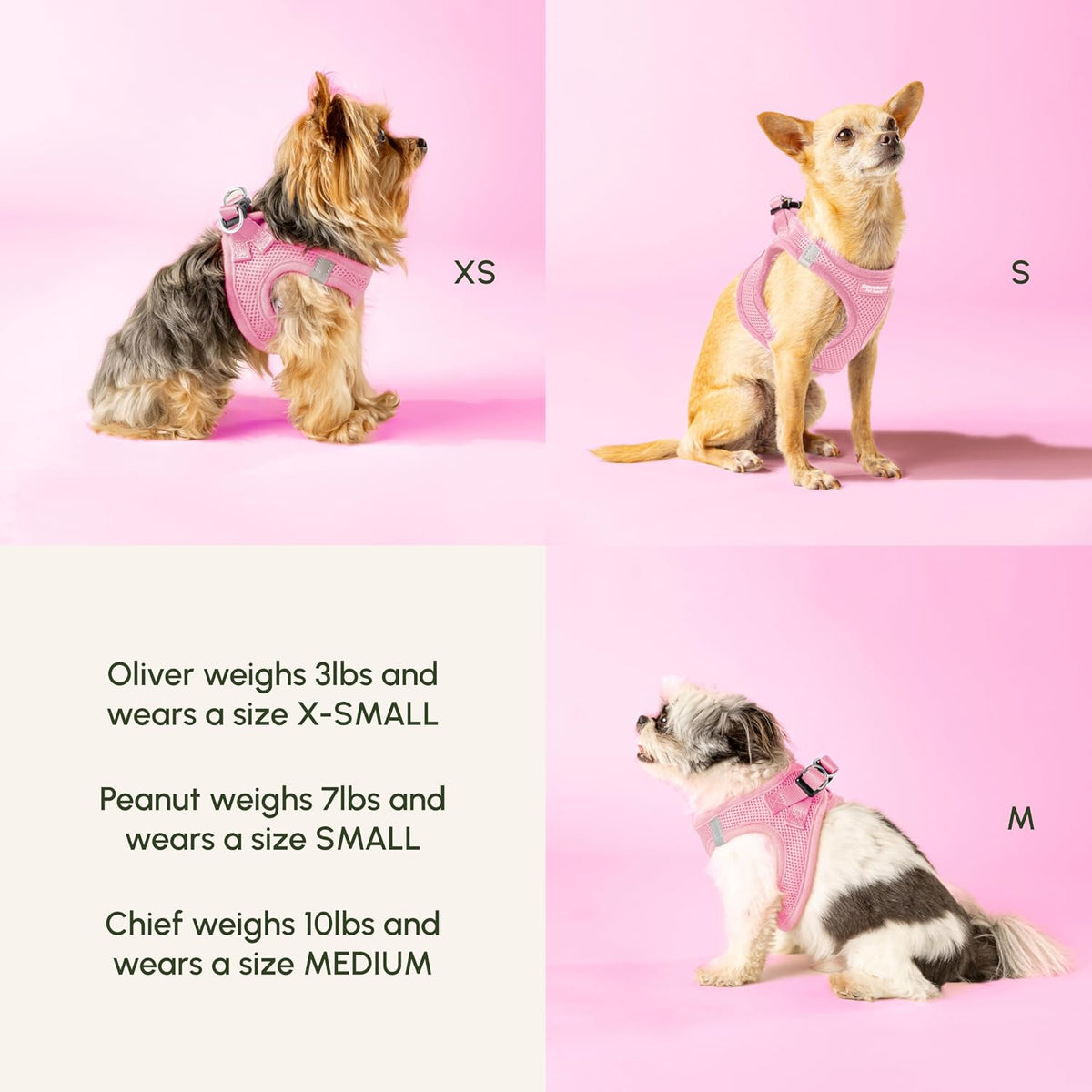 Downtown Pet Supply small dog walking harness back view