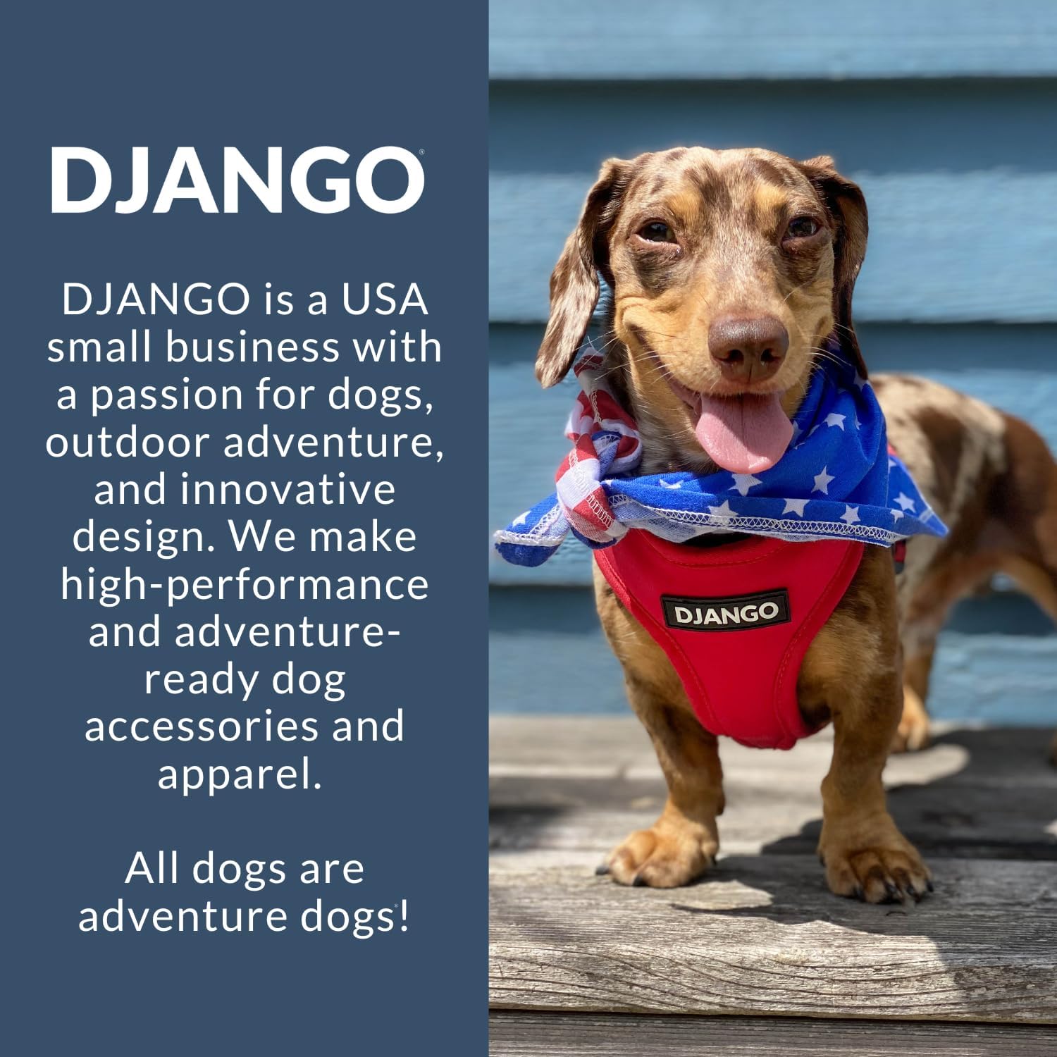 DJANGO Adventure Dog Harness - Stylish Medium Dog Harness for Outdoor Adventures and Everyday Wear - Dandelion Yellow Neoprene Adjustable Harness for Dogs with Reflective Piping and Solid Brass D-ring - Image 9