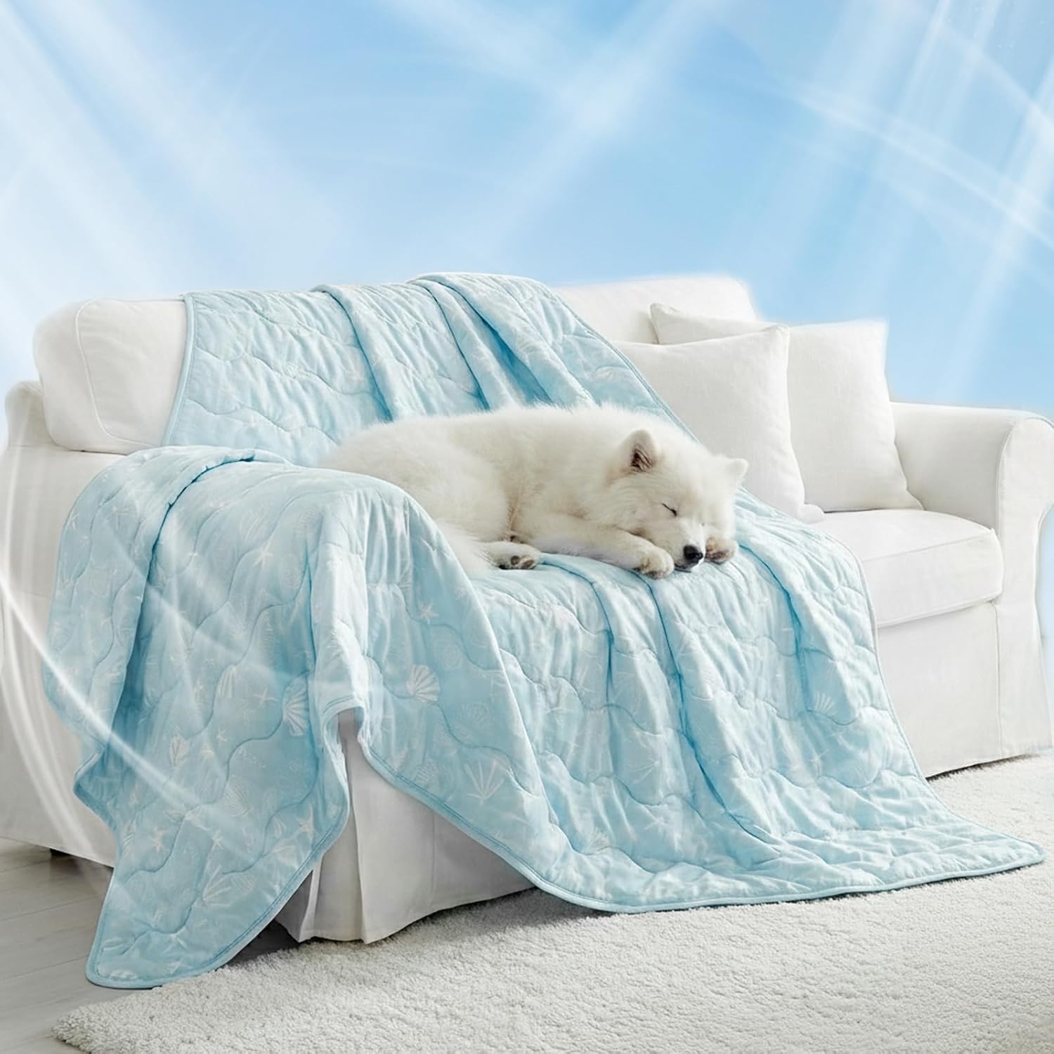 NWK Machine Washable Cooling Mat undergoing a cleaning cycle demonstration