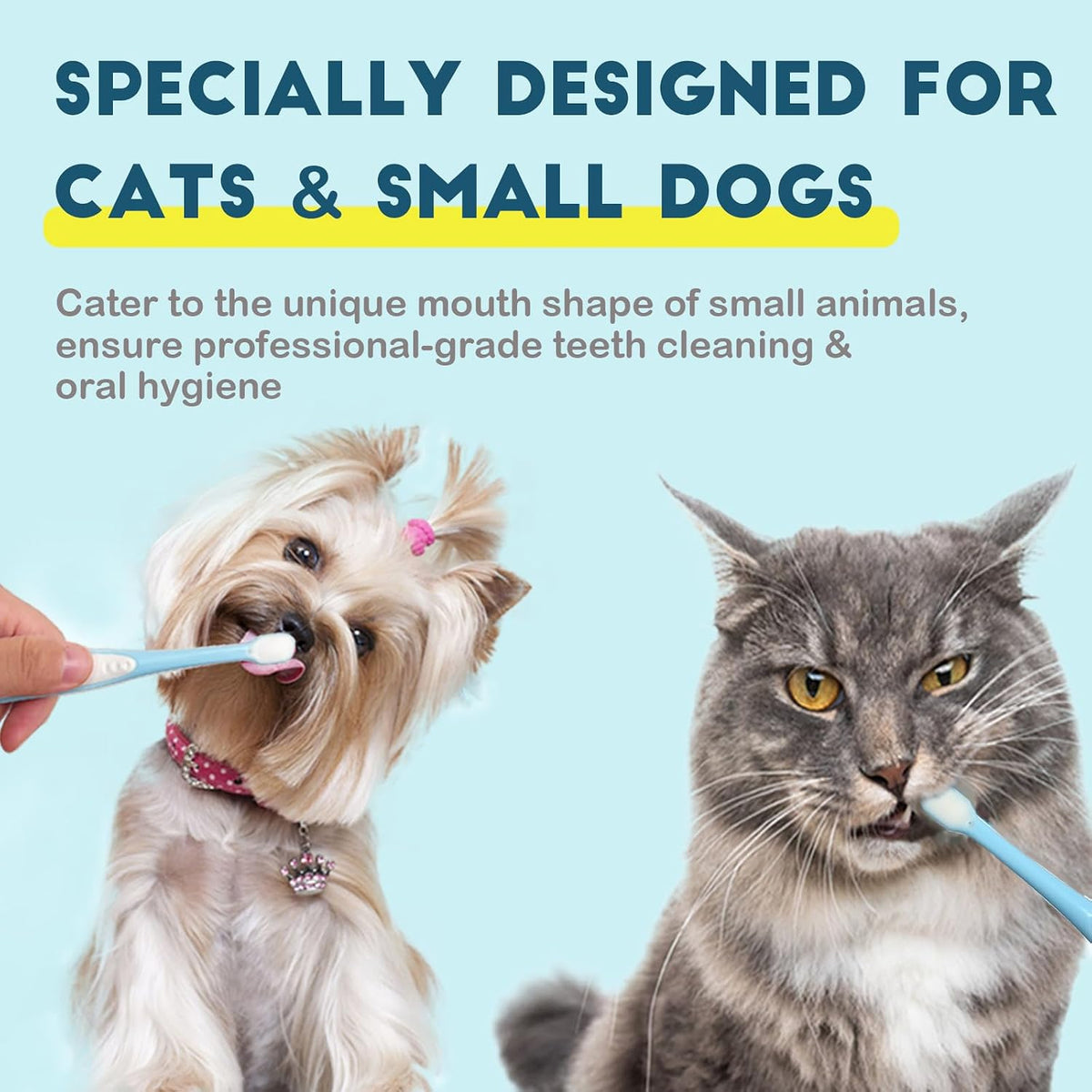 MoonyMars pet toothbrush with ultra soft bristles