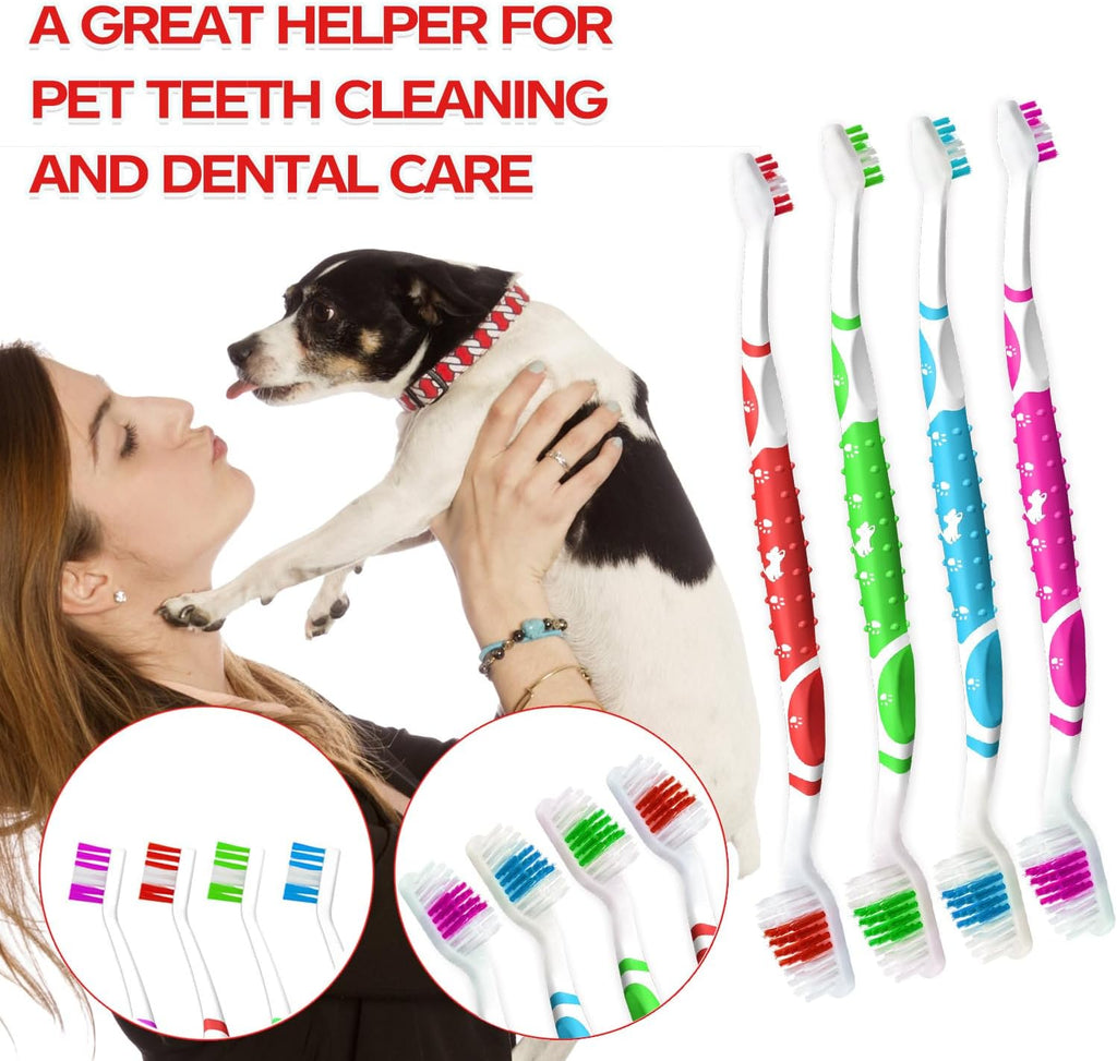 Full set of PenVinoo pet dental care tools organized