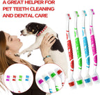 Full set of PenVinoo pet dental care tools organized