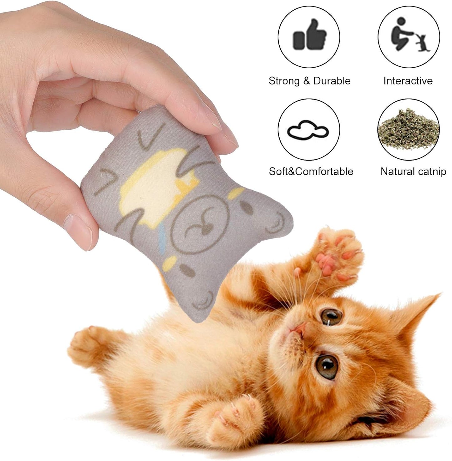 Dorakitten interactive cat toy set for teething kittens