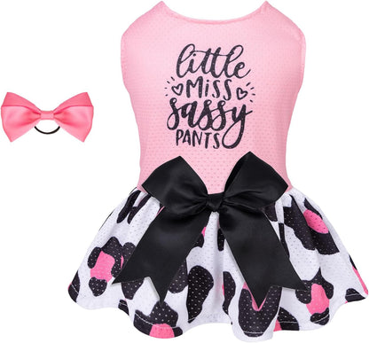 CuteBone authentic pet dress packaging presentation for small dogs