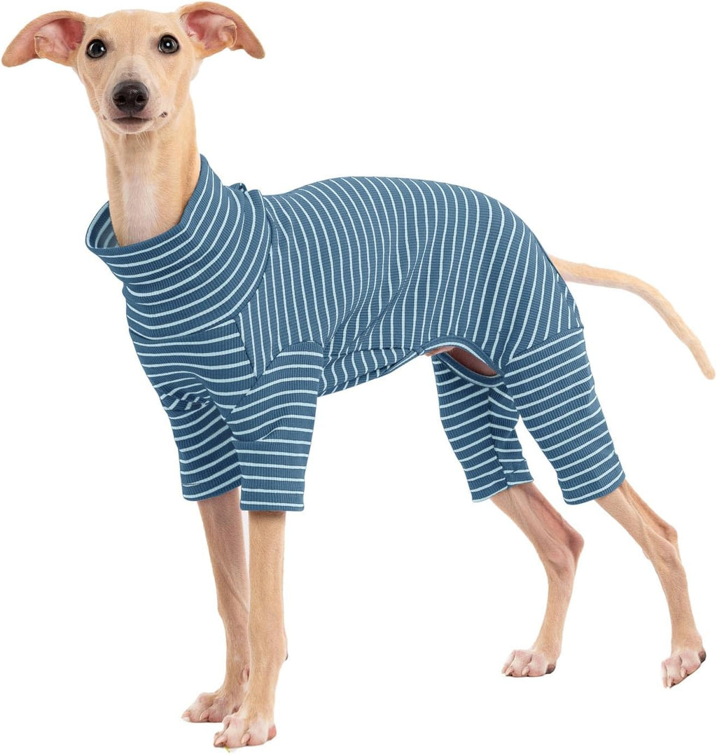 Haloumoning imported cotton blend pet sweater packaging visual