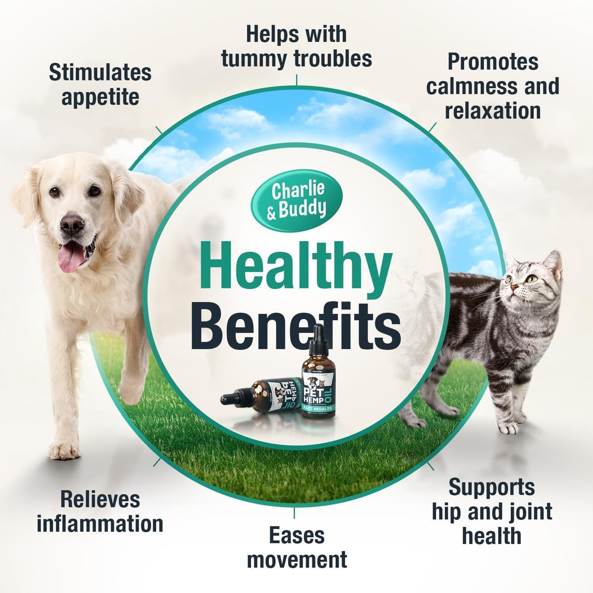 Charlie and Buddy pet supplement premium calming oil for anxiety relief.