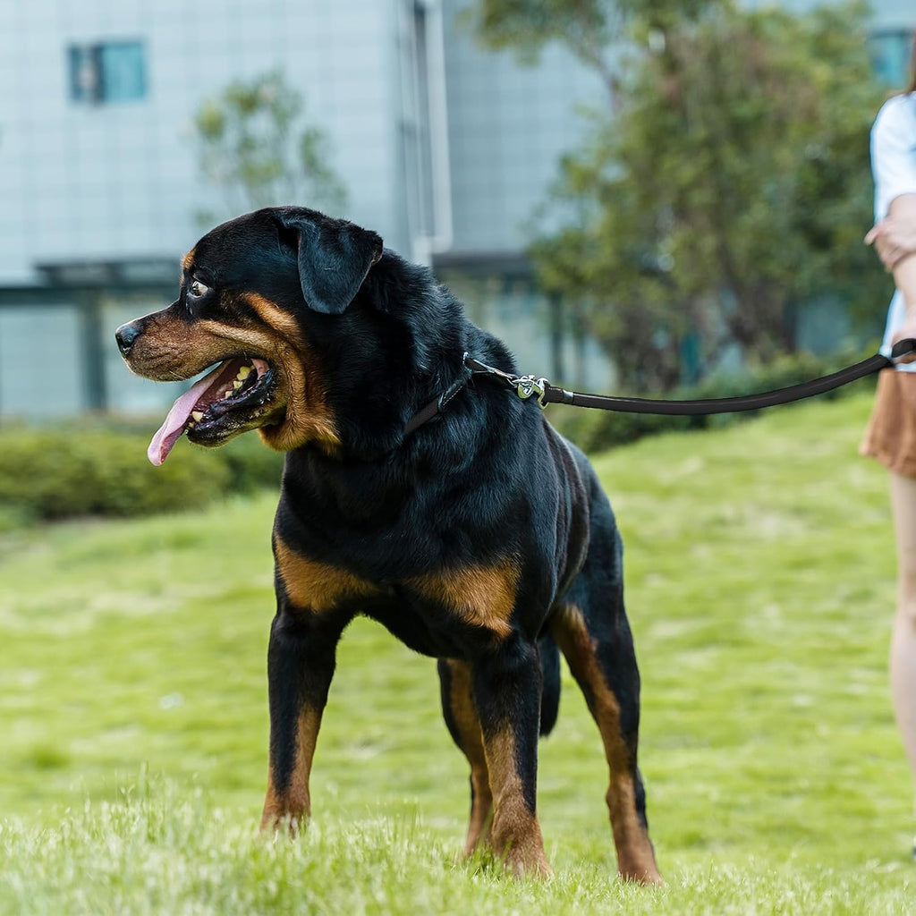 USA sourced premium pet gear showing the weather resistant braided traction rope design.
