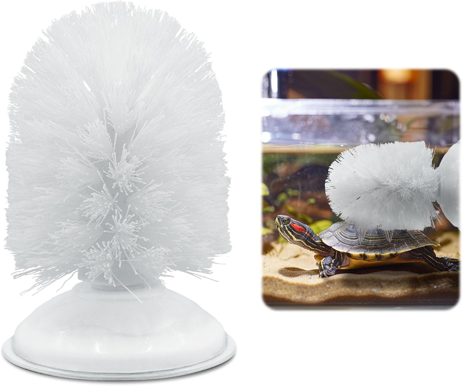 Neacus turtle brush front view highlighting the white round bristles and heavy duty suction cup base for aquarium mounting.