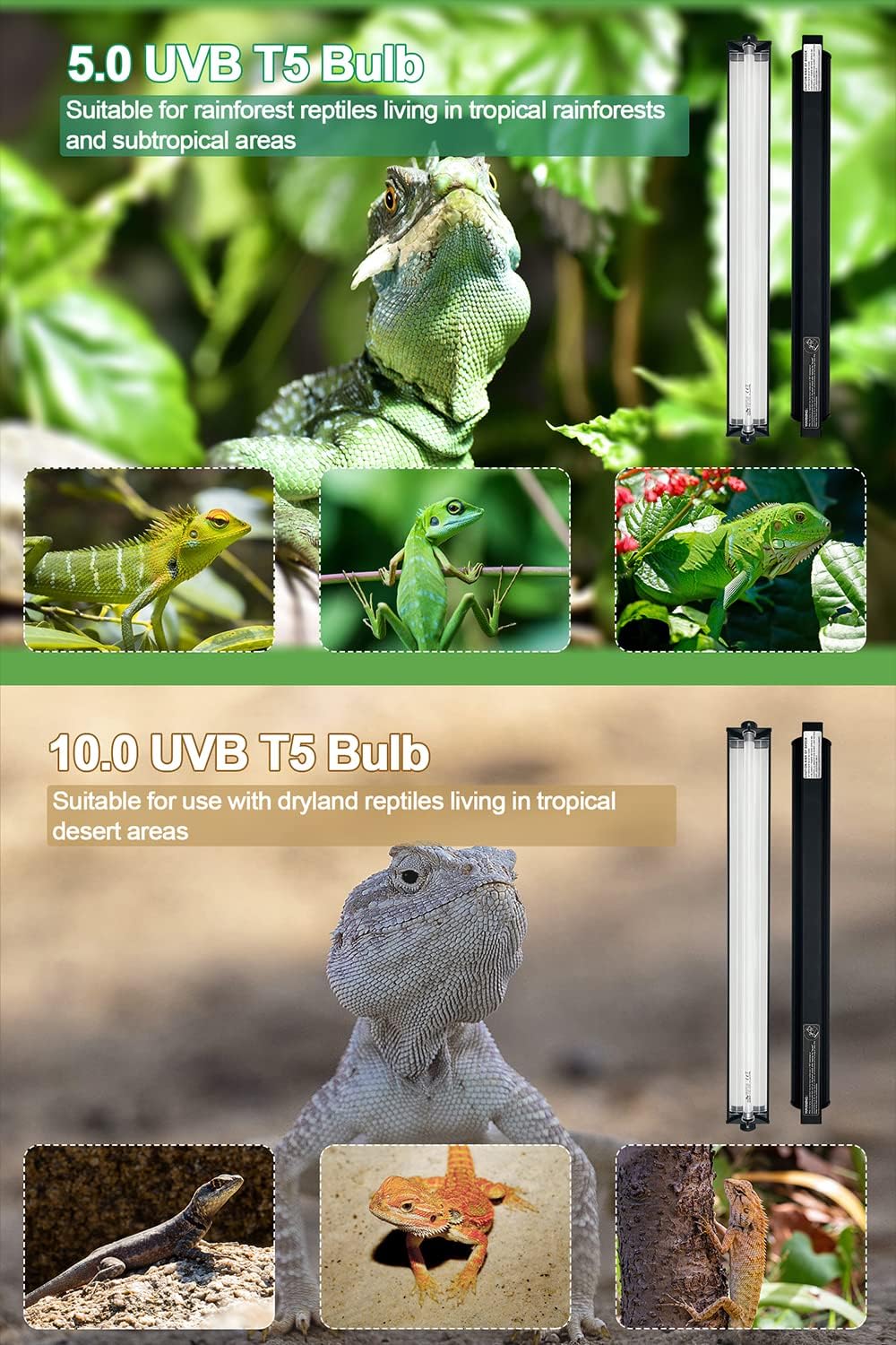 Close-up of the Desert UVB 10.0 fluorescent tube included in the kit