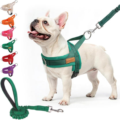 BEAUTYZOO Dog Harness for Small Dogs, No Pull Dog Harness and Leash Set, Soft Escape Proof Puppy Vest Harness with Handle, Reflective Lightweight Step in Harness for Girl Boy Dogs, Beige XS - Image 11