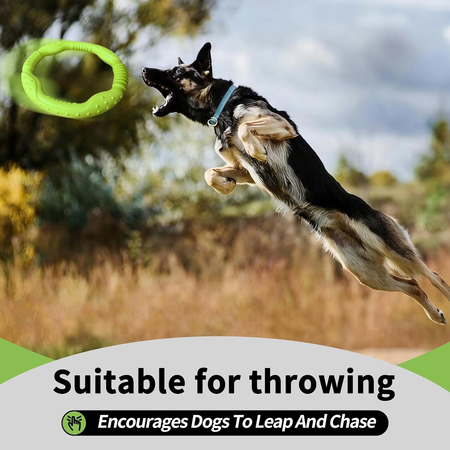 LaRoo dog frisbee showing aerodynamic profile and size