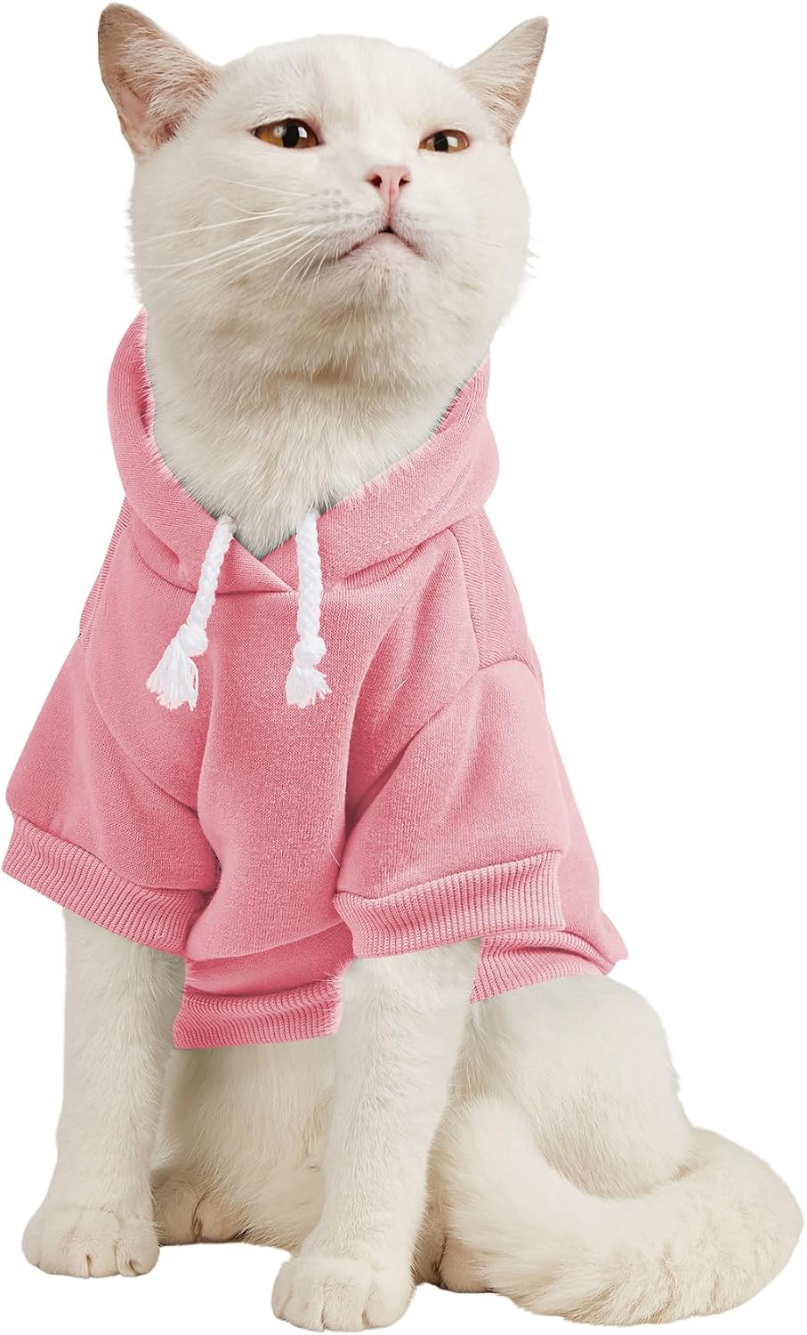 QWINEE Basic Dog Hoodie Sweatshirt Puppy Sweater Warm Cat Costumes Pet Clothes for Chihuahua Puppy Kitten Small Medium Dogs Cadet Blue Medium - Image 11