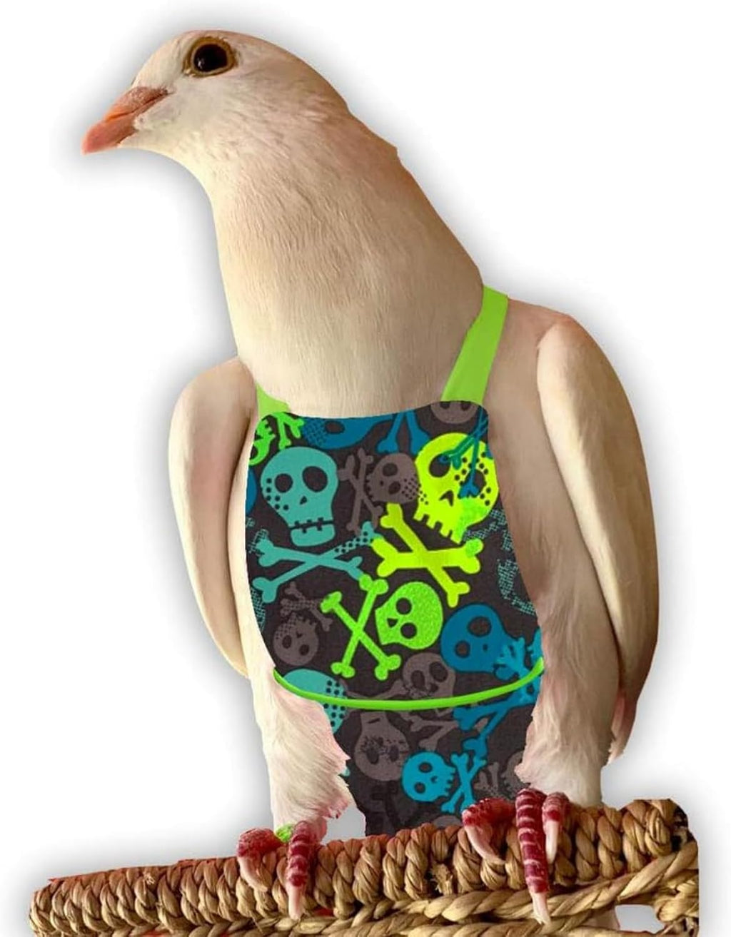 Instructions for inserting liner into Flyper bird diaper