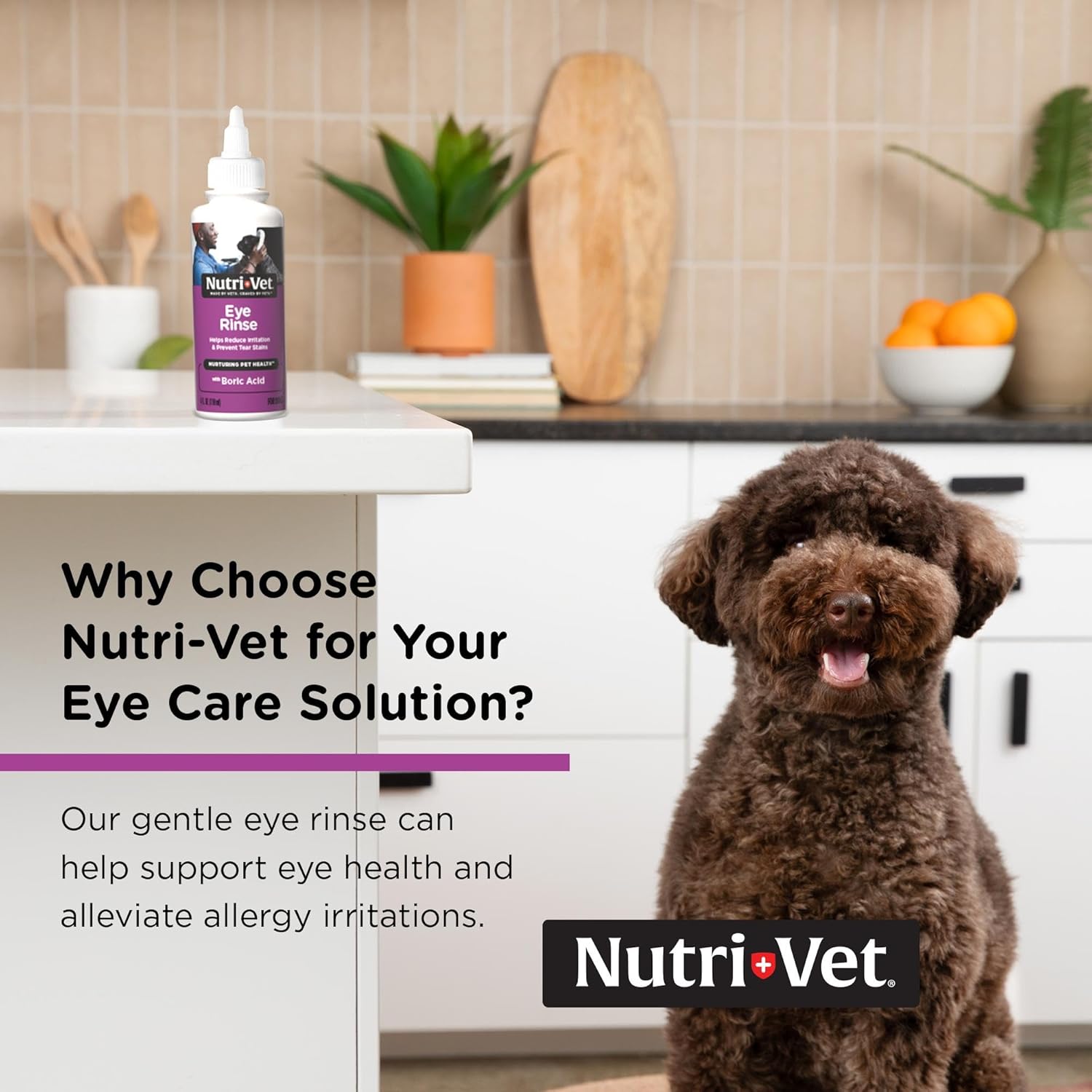 Veterinary formulated non irritating dog eye drops for allergy relief and cleansing