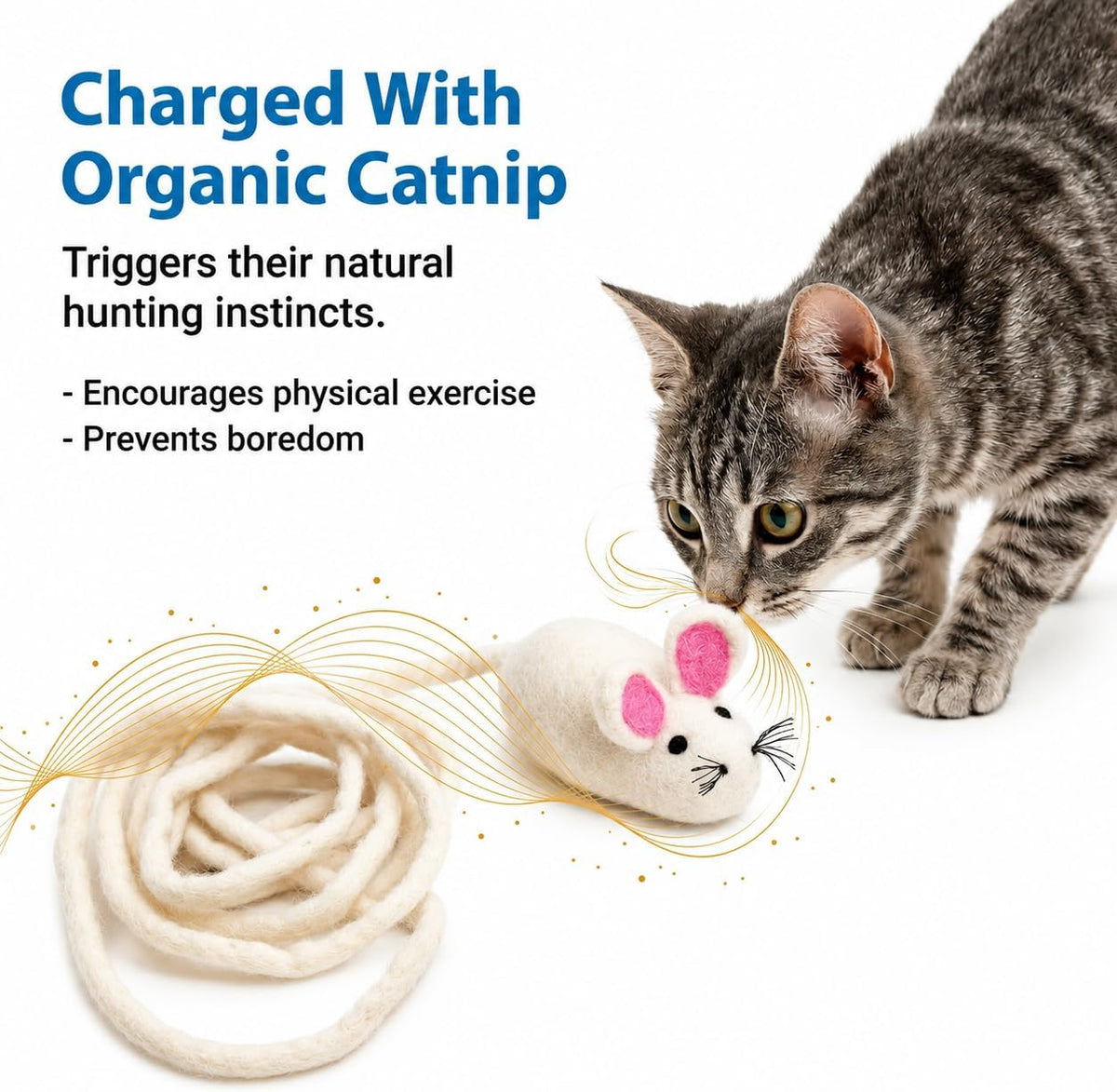 Authentic imported Glaciart One fuzzy cat toy packaging and contents